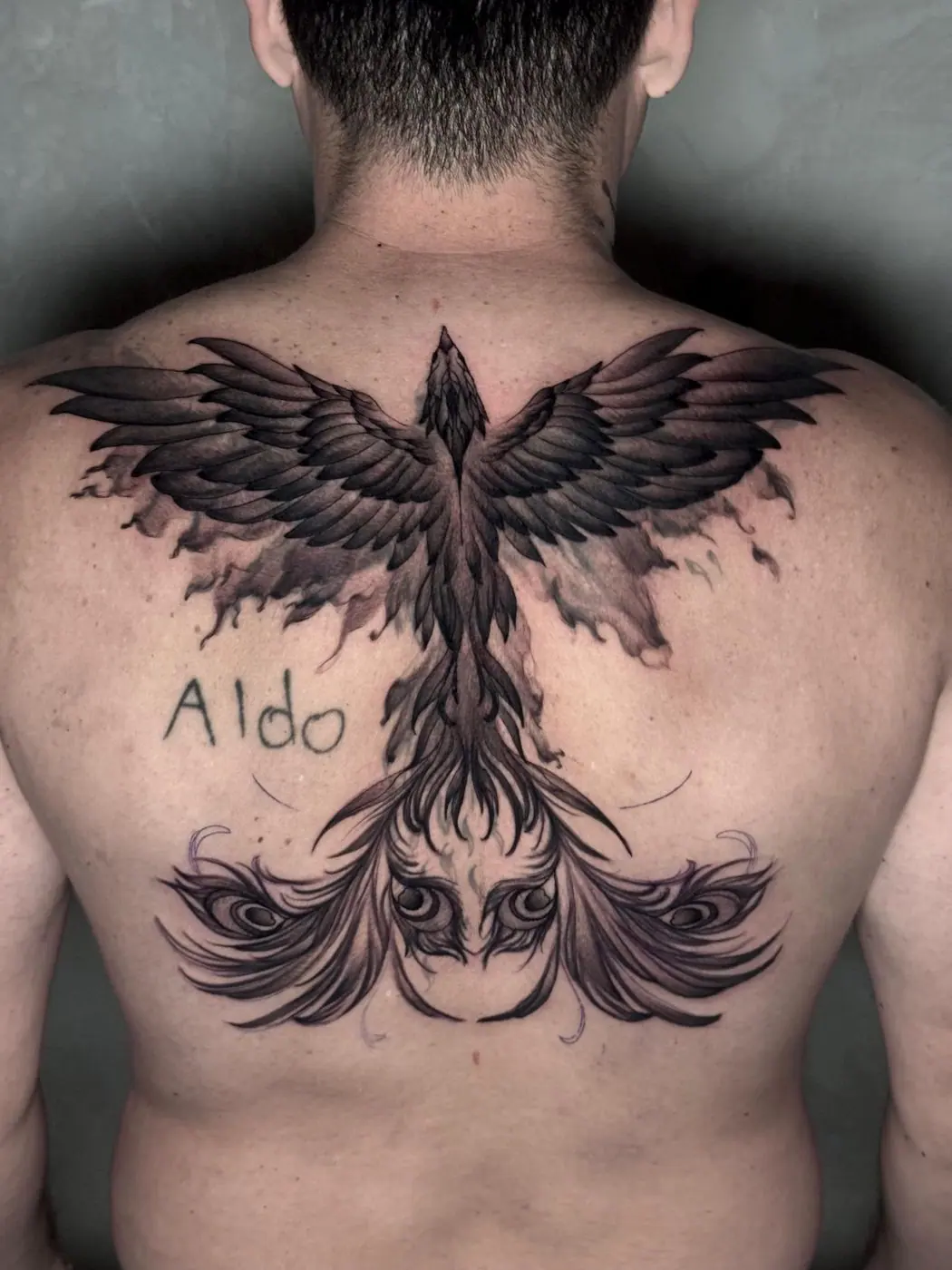 After: phoenix rebuilt in black and grey, with redesigned wings and tail