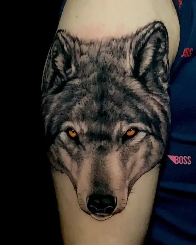Wolf