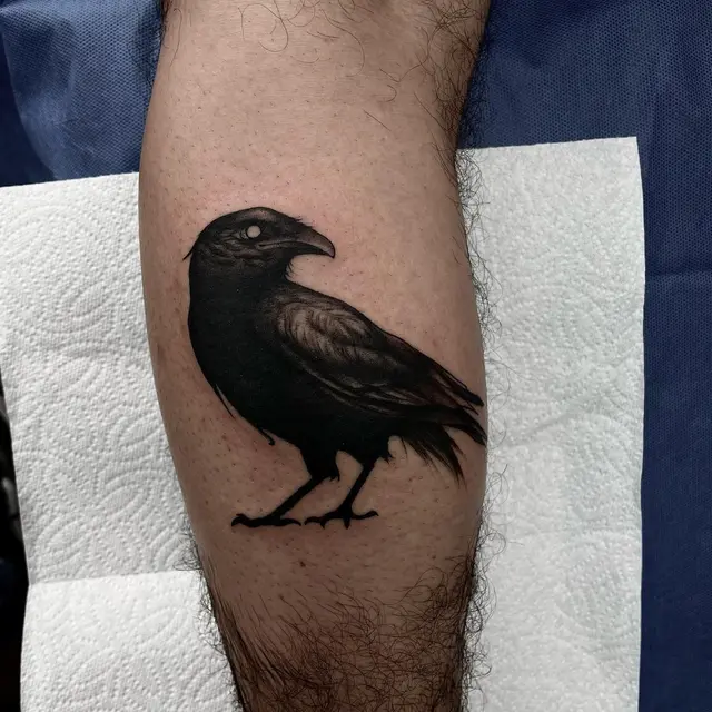 Raven